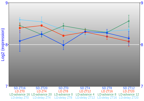 Expression graph