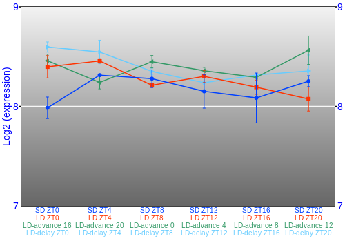 Expression graph