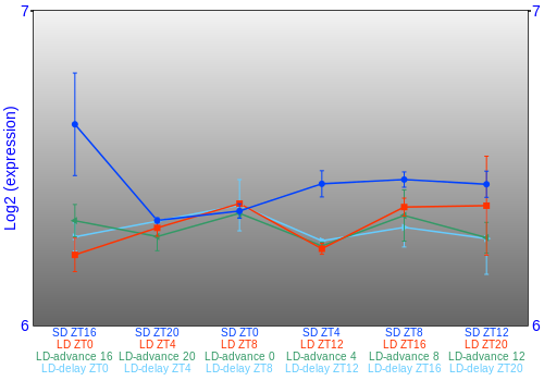 Expression graph