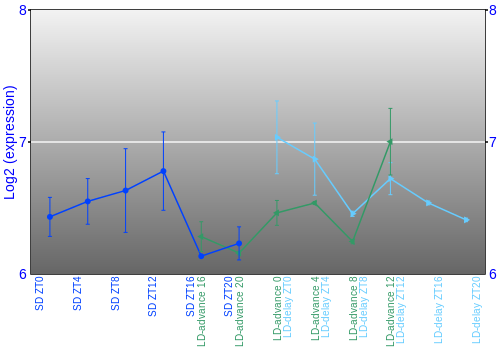 Expression graph