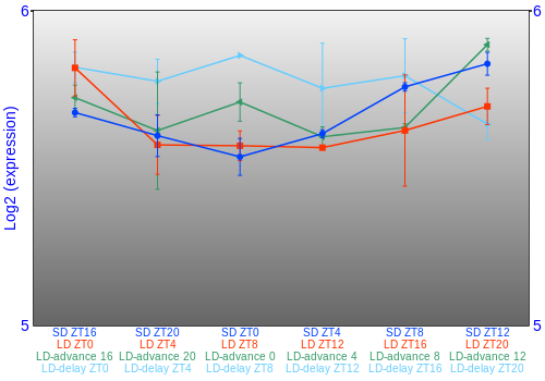 Expression graph
