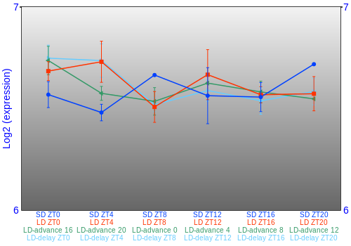 Expression graph