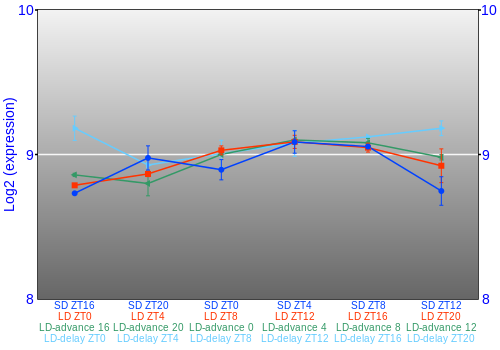 Expression graph