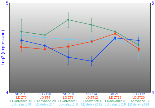 Expression graph