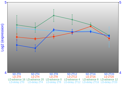 Expression graph