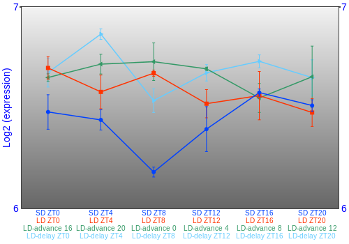 Expression graph