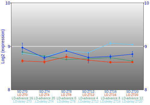 Expression graph