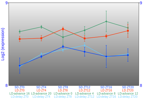 Expression graph