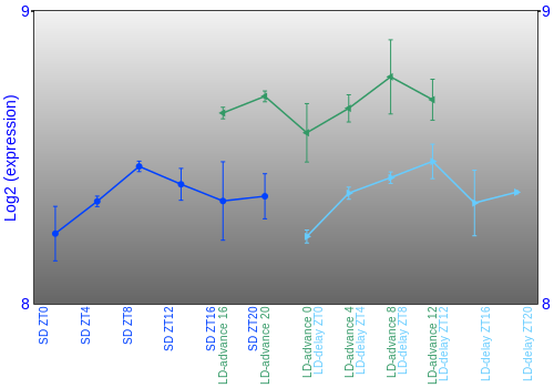 Expression graph