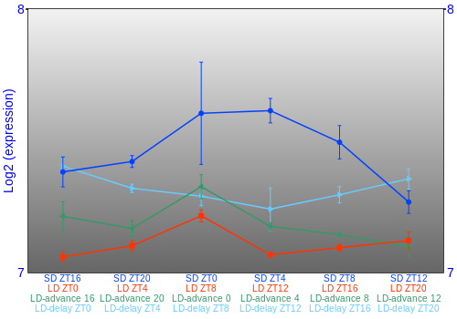 Expression graph