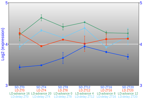 Expression graph