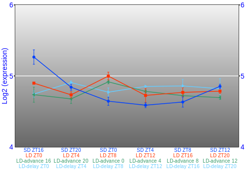 Expression graph