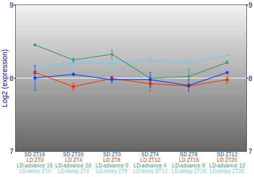 Expression graph