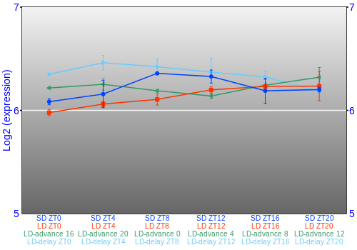 Expression graph