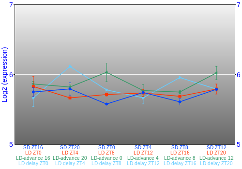 Expression graph