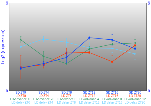 Expression graph