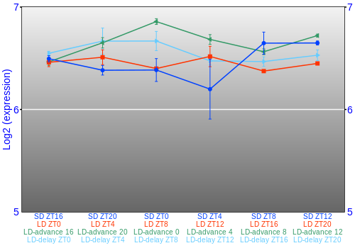 Expression graph