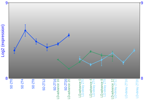 Expression graph