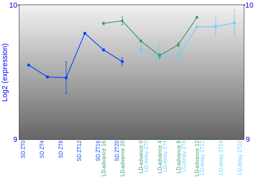 Expression graph