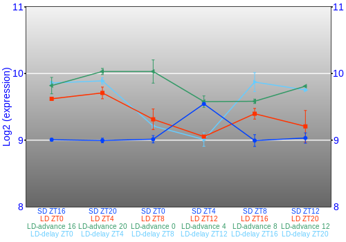 Expression graph