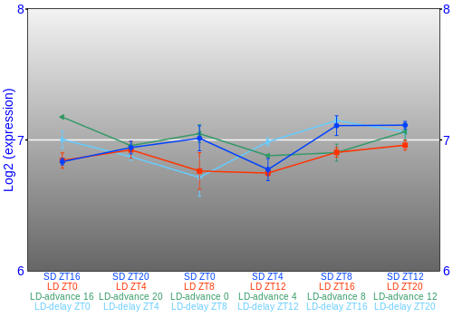 Expression graph