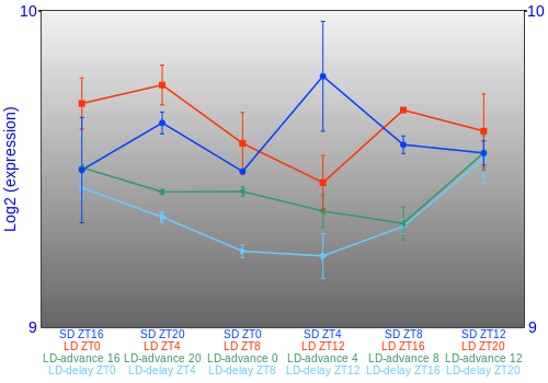 Expression graph