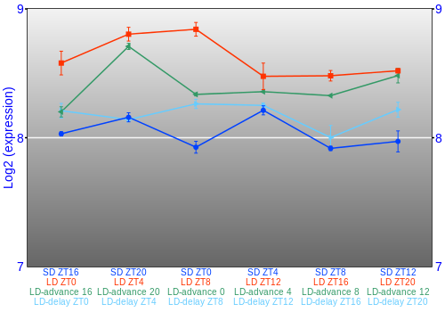 Expression graph