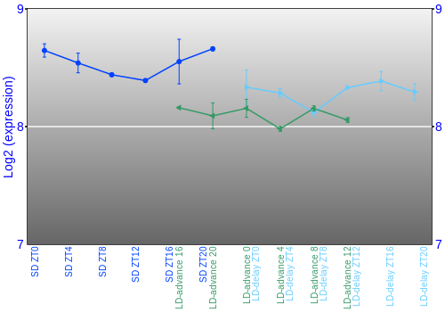 Expression graph