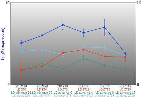 Expression graph