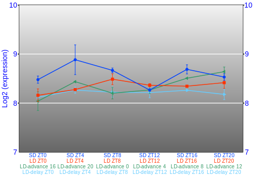 Expression graph