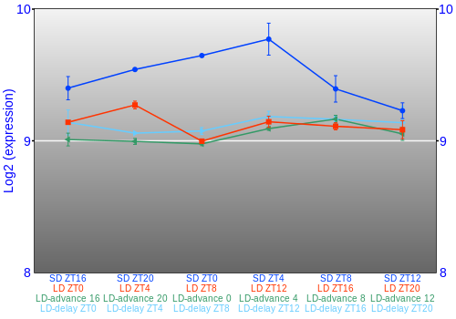 Expression graph