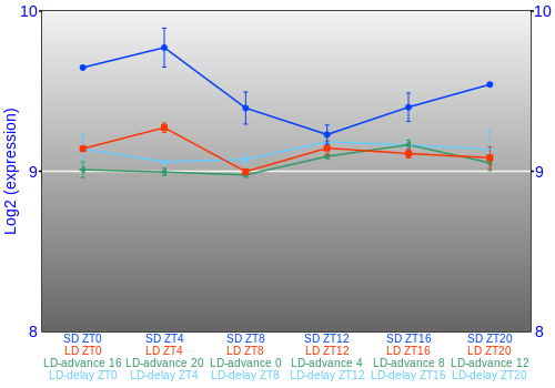 Expression graph