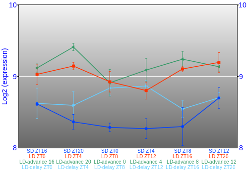 Expression graph