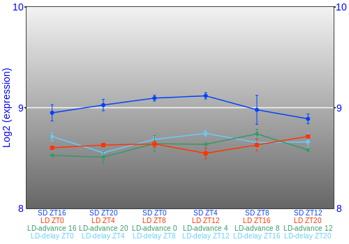 Expression graph