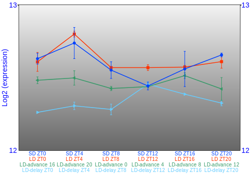 Expression graph