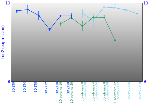 Expression graph