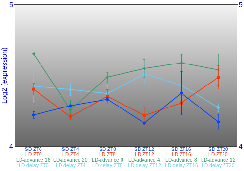 Expression graph