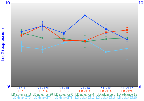 Expression graph