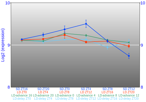 Expression graph