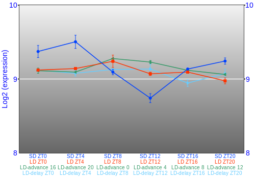 Expression graph