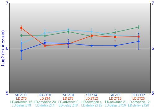 Expression graph