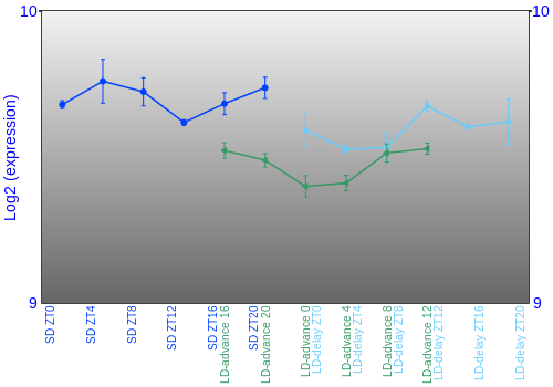 Expression graph