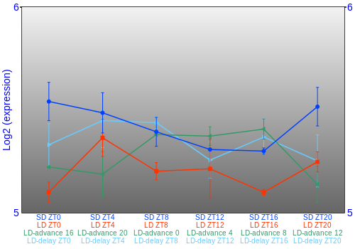 Expression graph