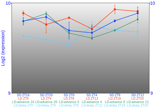Expression graph