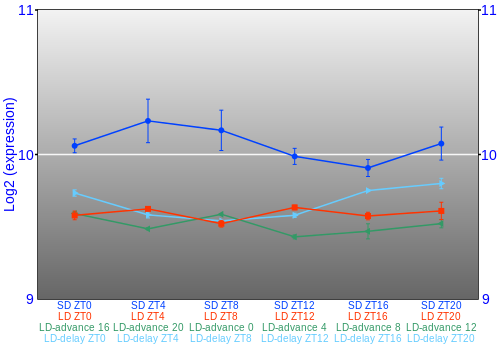 Expression graph