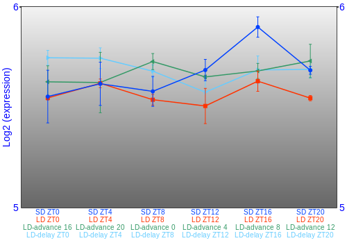 Expression graph