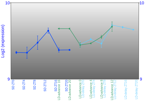 Expression graph