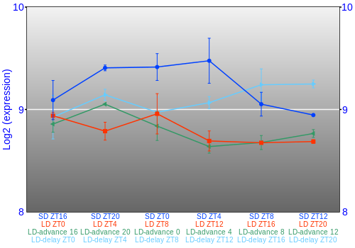 Expression graph