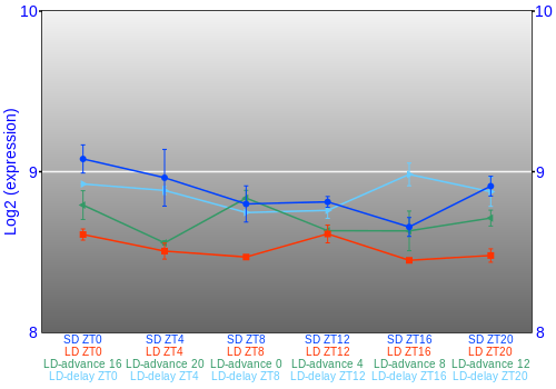 Expression graph