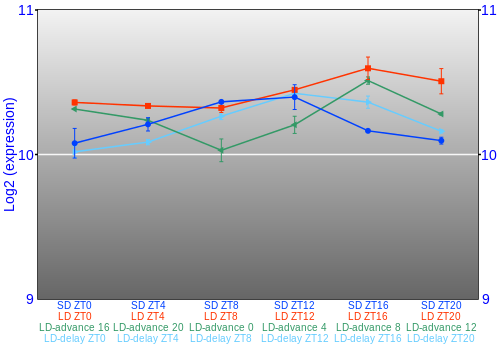 Expression graph